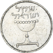 Münze, Israel, Sheqel, 1981
