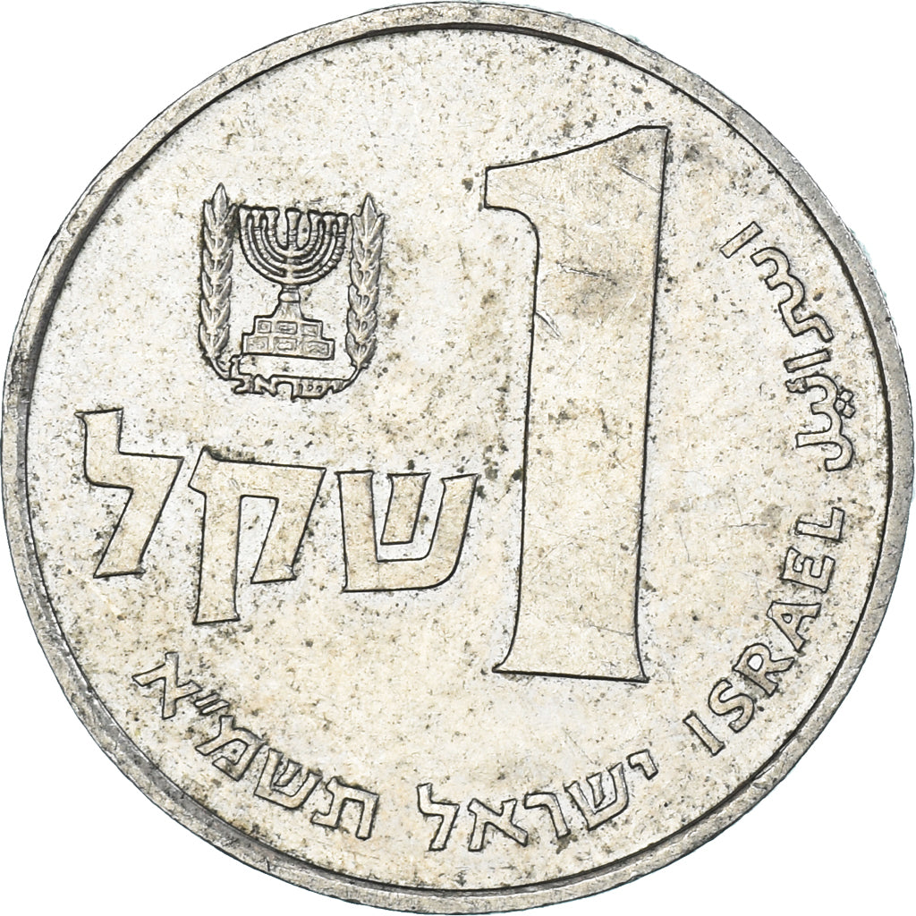 Münze, Israel, Sheqel, 1981