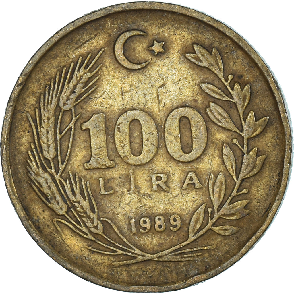 Munten, Turkije, 100 Lira, 1989