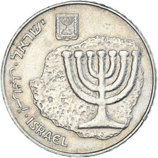 Coin, Israel, 100 Sheqalim, 1984