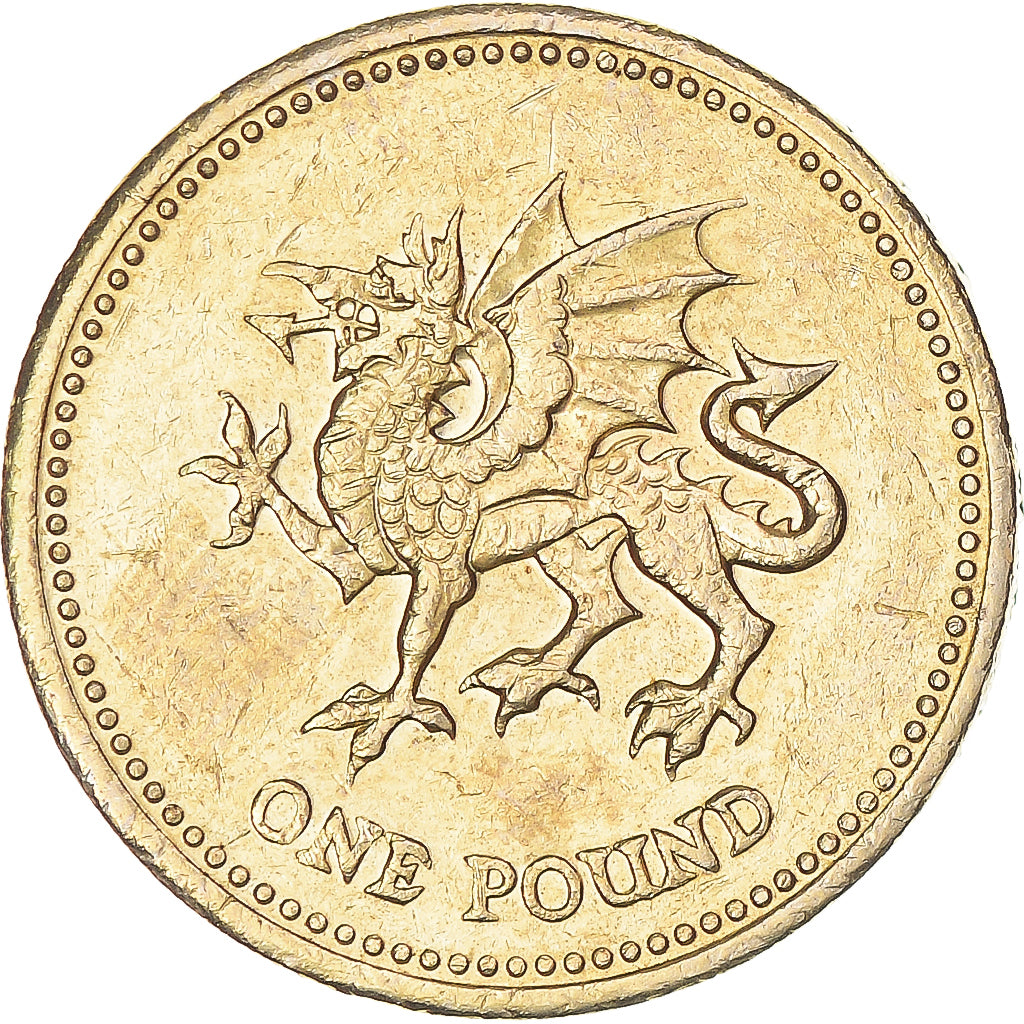Moneta, Wielka Brytania, Pound, 1995