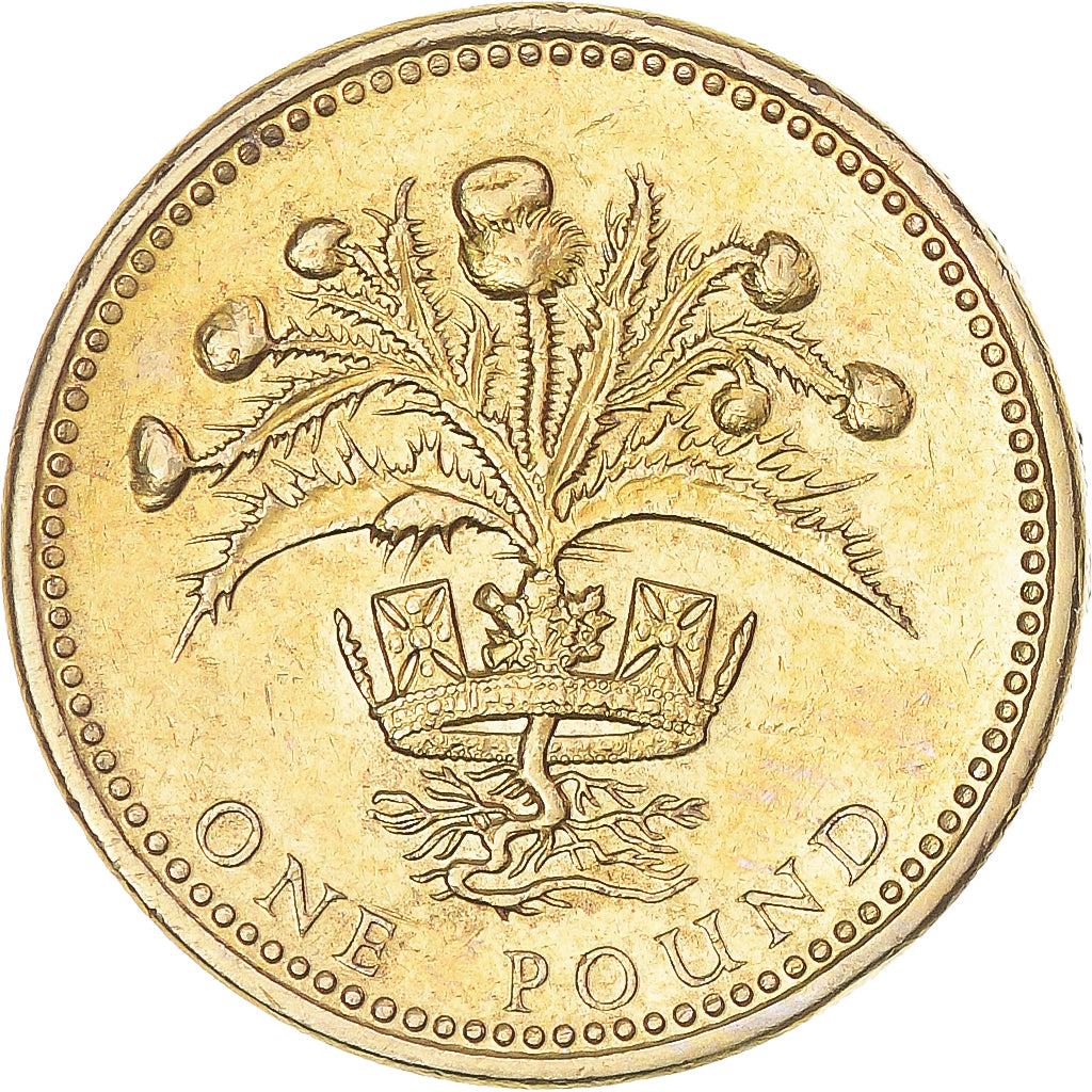 Moneda, Gran Bretaña, Pound, 1989