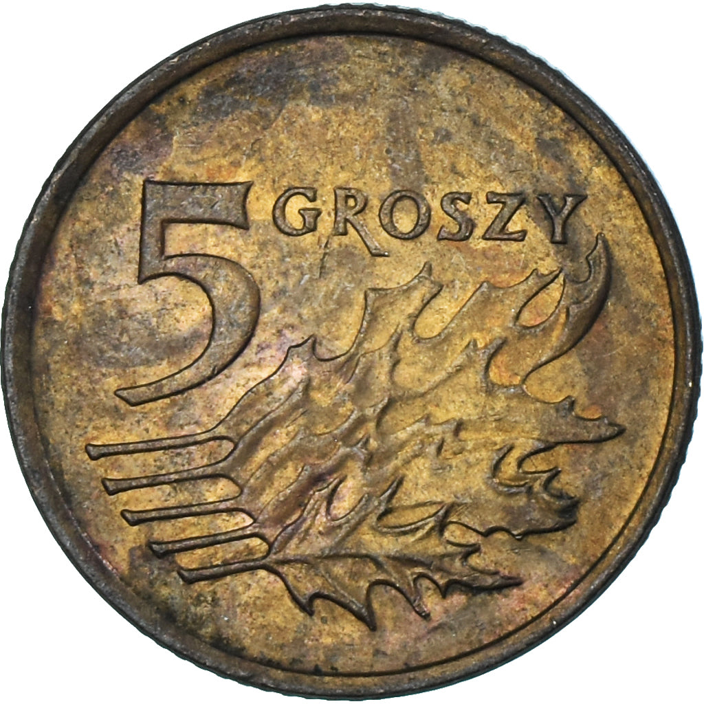 Moneta, Polonia, 5 Groszy, 1991