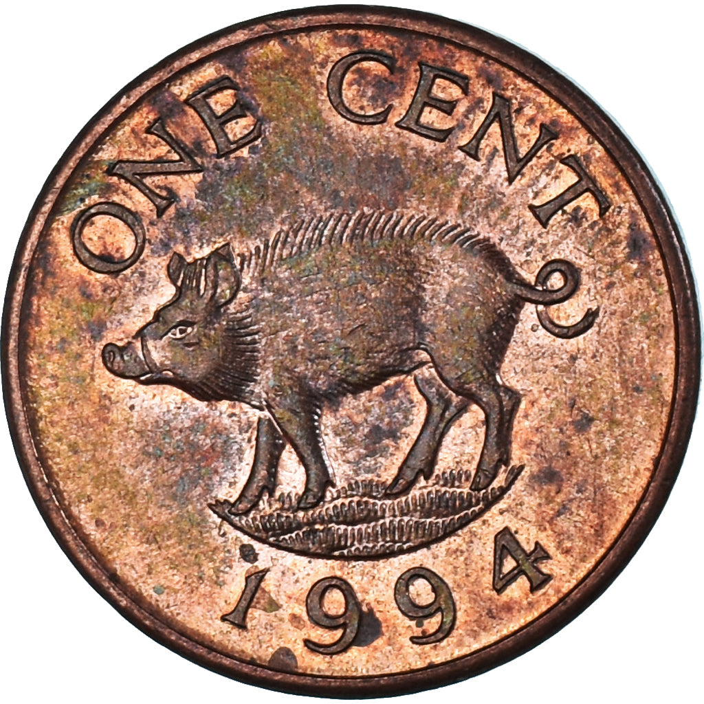 Coin, Bermuda, Cent, 1994