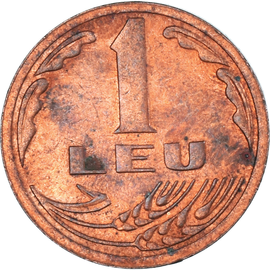 Monnaie, Roumanie, Leu, 1992