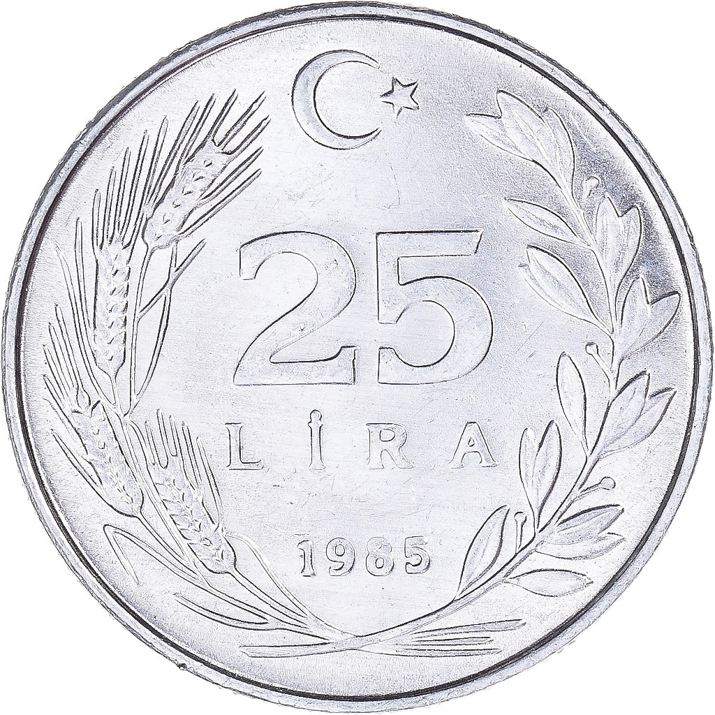 Moneta, Turchia, 25 Lira, 1985