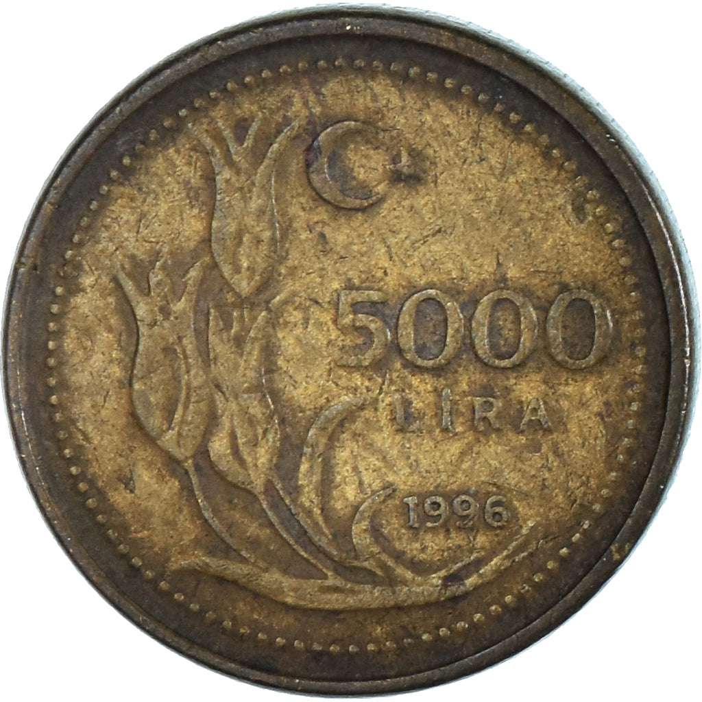 Monnaie, Turquie, 5000 Lira, 1996