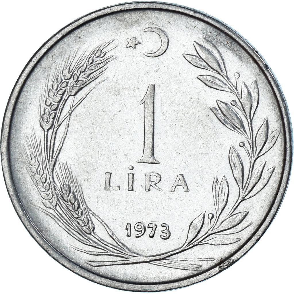 Münze, Türkei, Lira, 1973