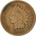 Coin, United States, Indian Head Cent, Cent, 1907, U.S. Mint, Philadelphia
