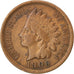 Coin, United States, Indian Head Cent, Cent, 1906, U.S. Mint, Philadelphia