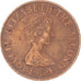 Münze, Jersey, 2 Pence, 1989