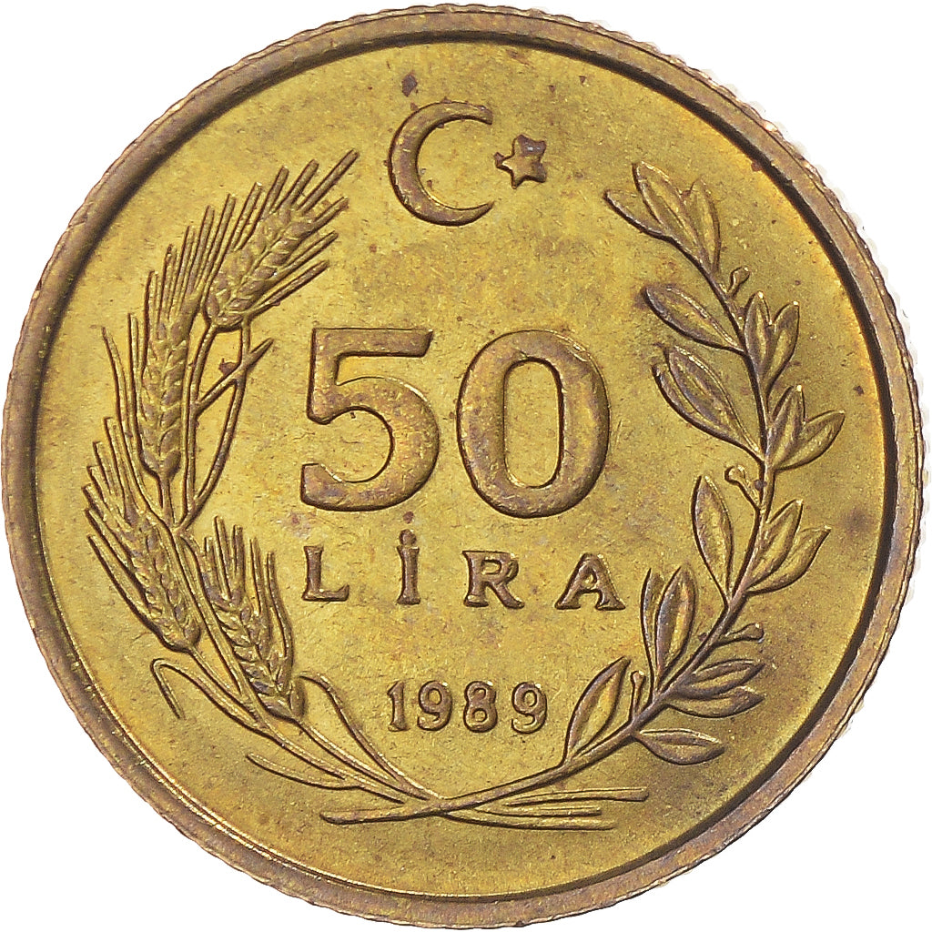 Coin, Turkey, 50 Lira, 1989