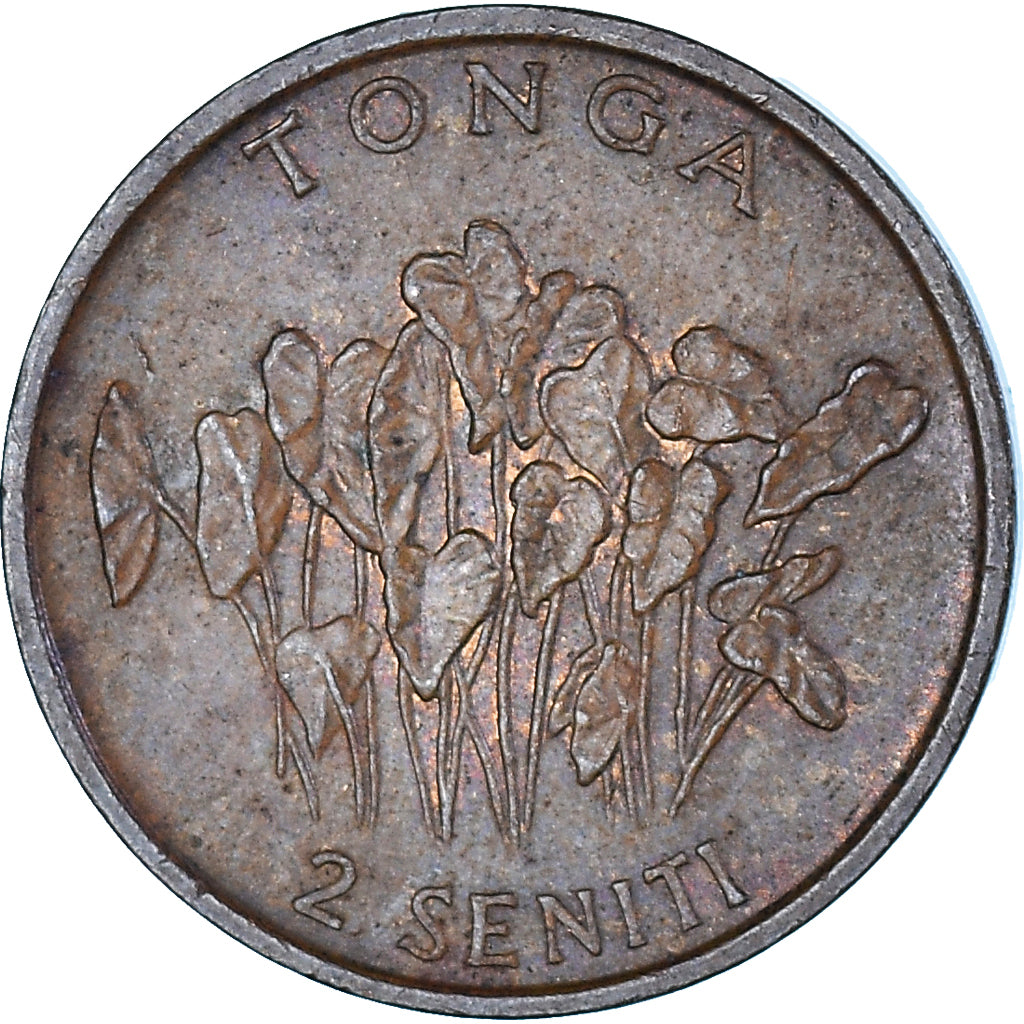 Coin, Tonga, 2 Seniti, 1991