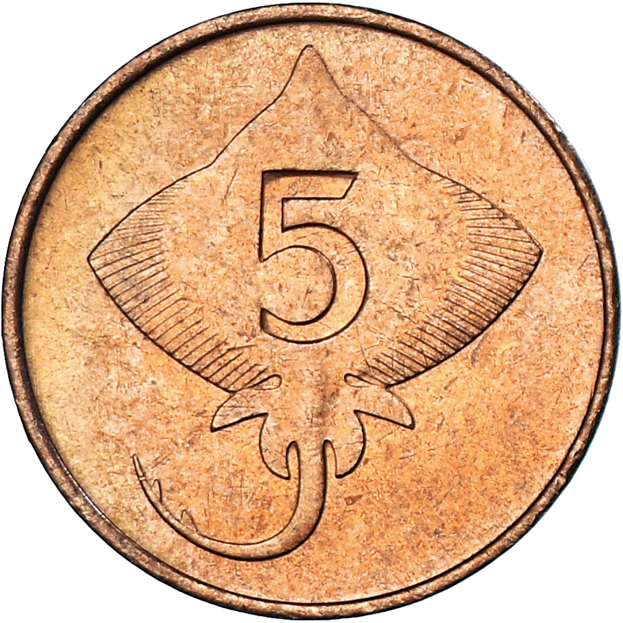 Coin, Iceland, 5 Aurar, 1981