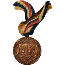 United States of America, Government by the People Shall not Perish, Medal