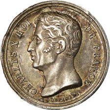 Frankreich, Medaille, Charles X, Avènement au Trône, 1824, Depaulis, VZ