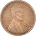 Münze, Vereinigte Staaten, Cent, 1920