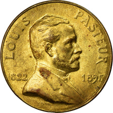 France, Jeton, Etats Fédérés d'Europe, Louis Pasteur, 1928, TB+, Copper Gilt