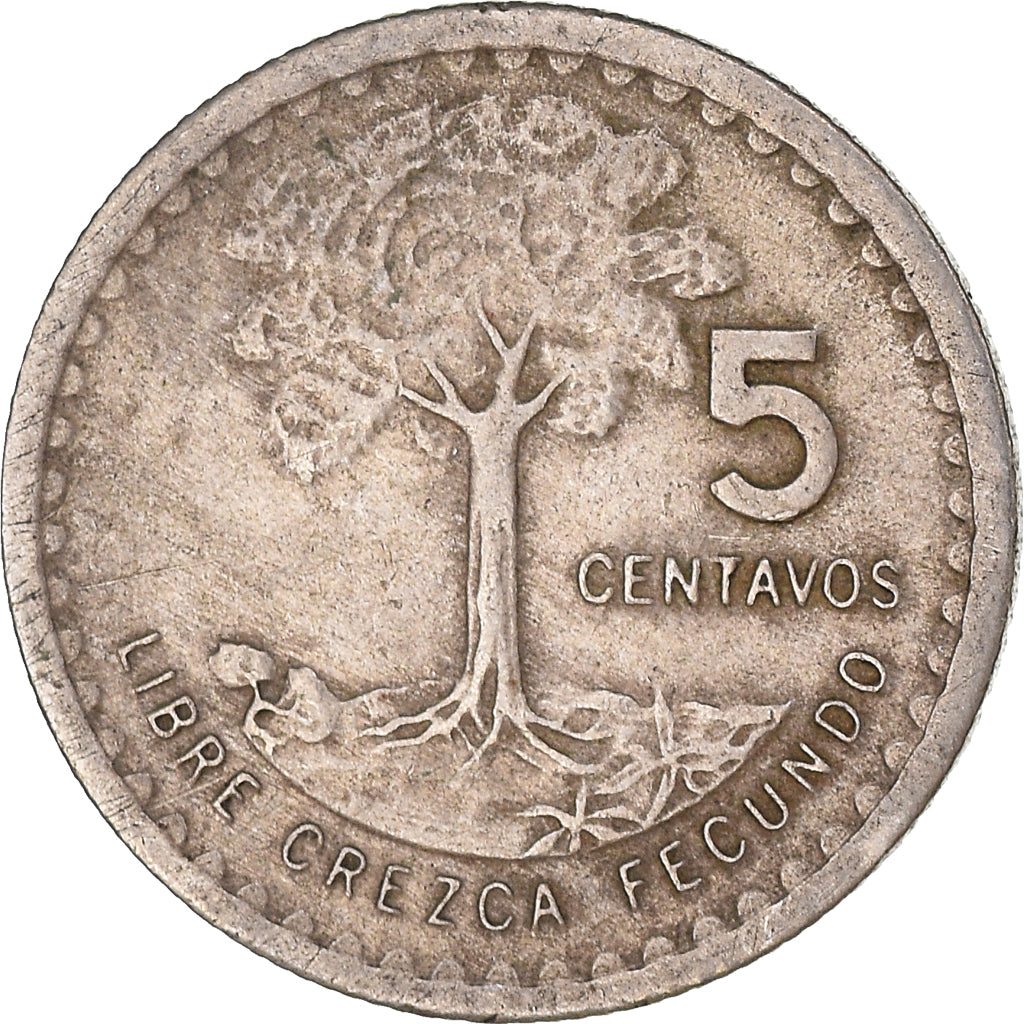 Münze, Guatemala, 5 Centavos, 1976