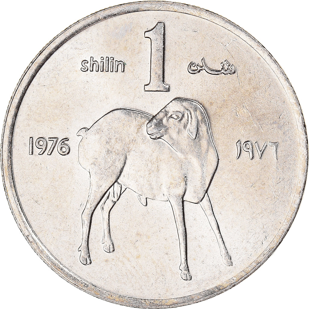 Münze, Somalia, Shilling, 1976