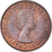Coin, Great Britain, 1/2 Penny, 1954