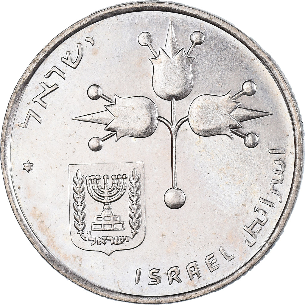 Coin, Israel, Lira, 1973