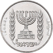 Coin, Israel, 1/2 Lira, 1971