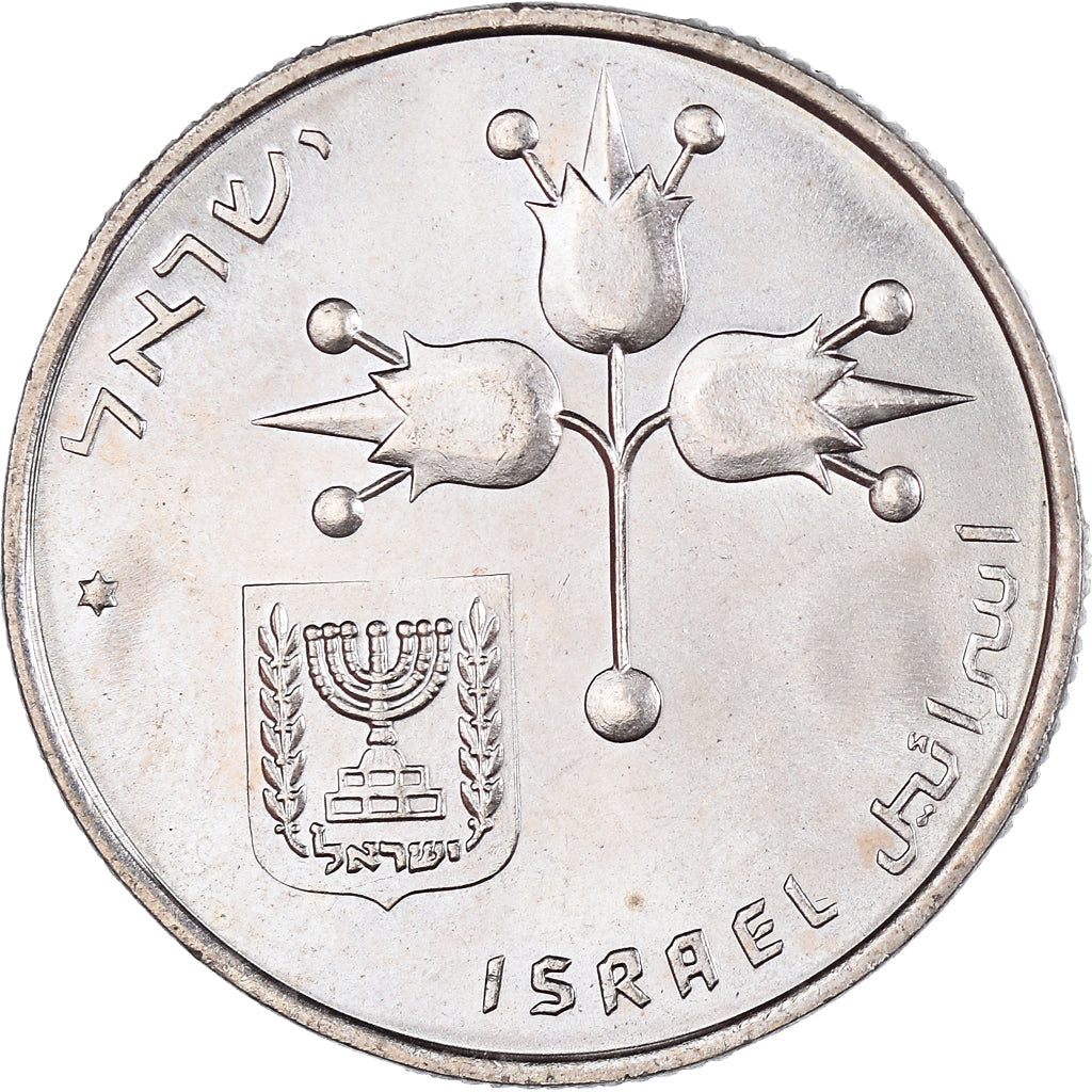 Coin, Israel, Lira, 1974