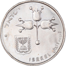 Coin, Israel, Lira, 1974
