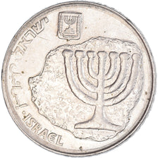 Coin, Israel, 100 Sheqalim, 1984