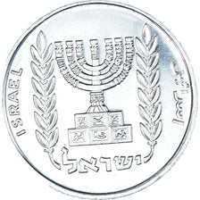 Coin, Israel, 5 New Agorot, 1982