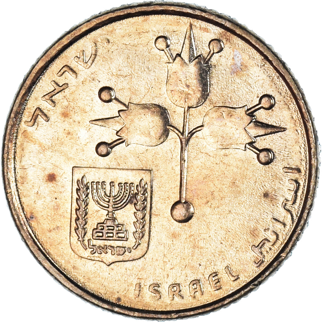 Coin, Israel, 10 New Agorot, 1984