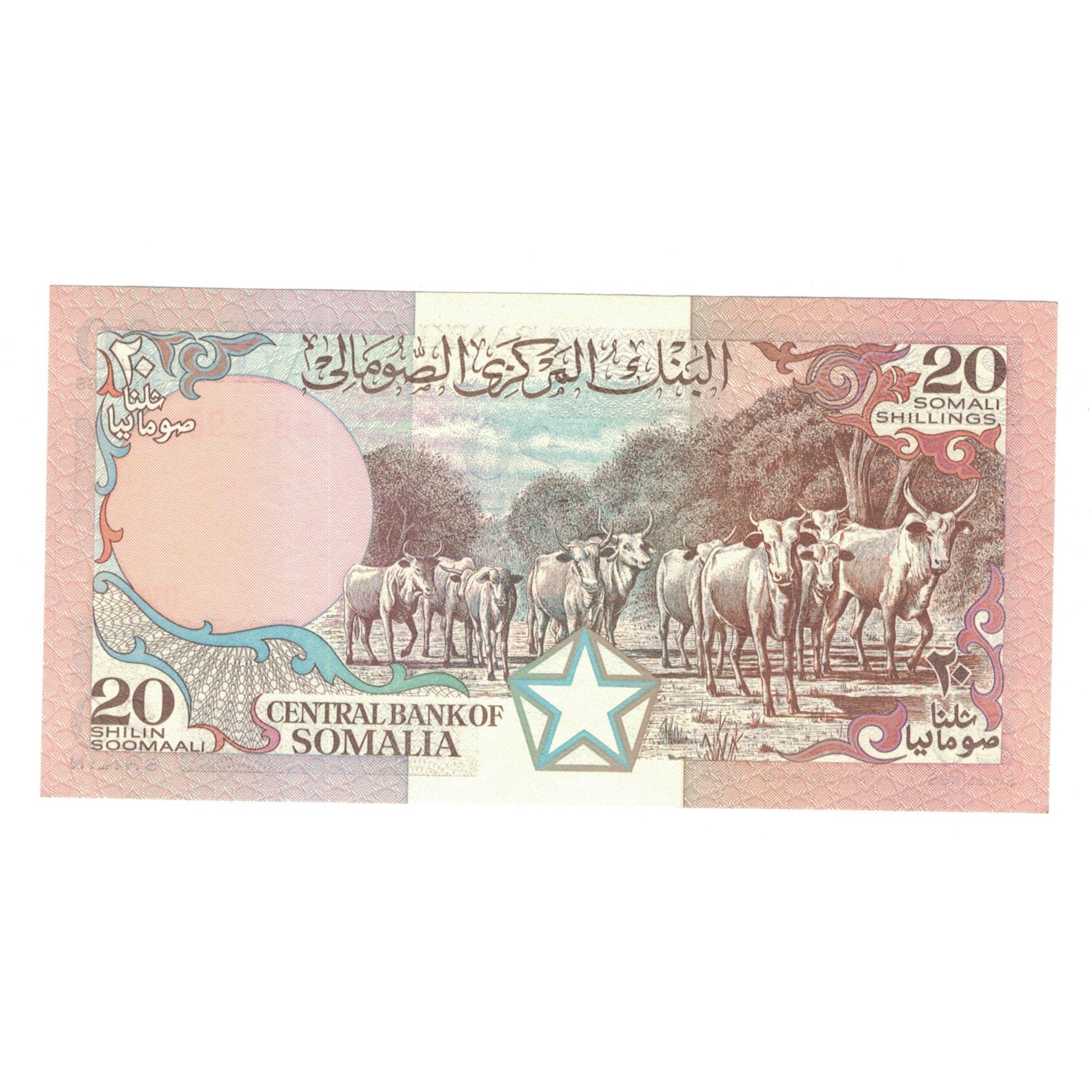 Banknote, Somalia, 20 Shilin = 20 Shillings, 1989, KM:33d, UNC(65-70)
