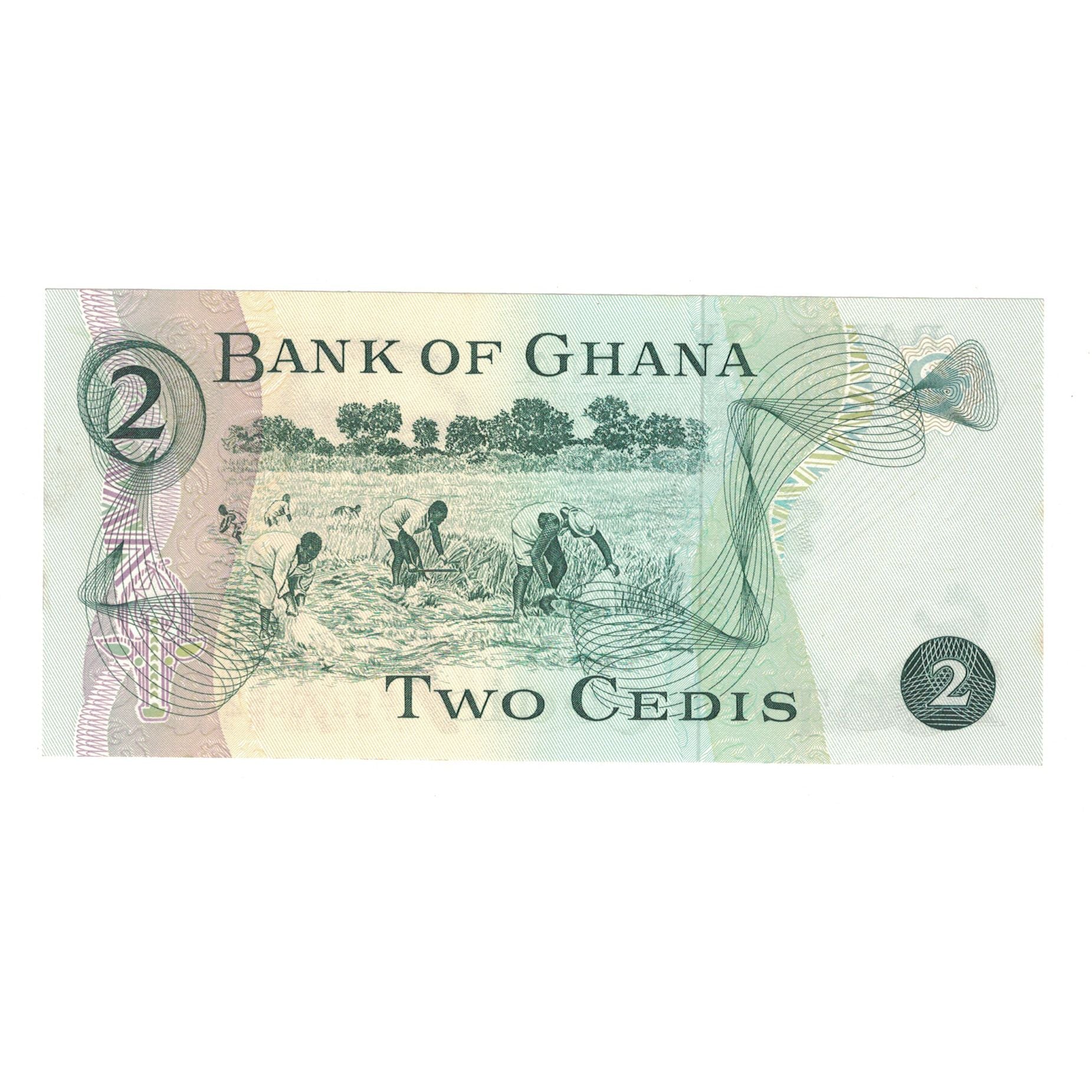 Banknote, Ghana, 2 Cedis, 1977, 1977-01-02, KM:14c, UNC(65-70)