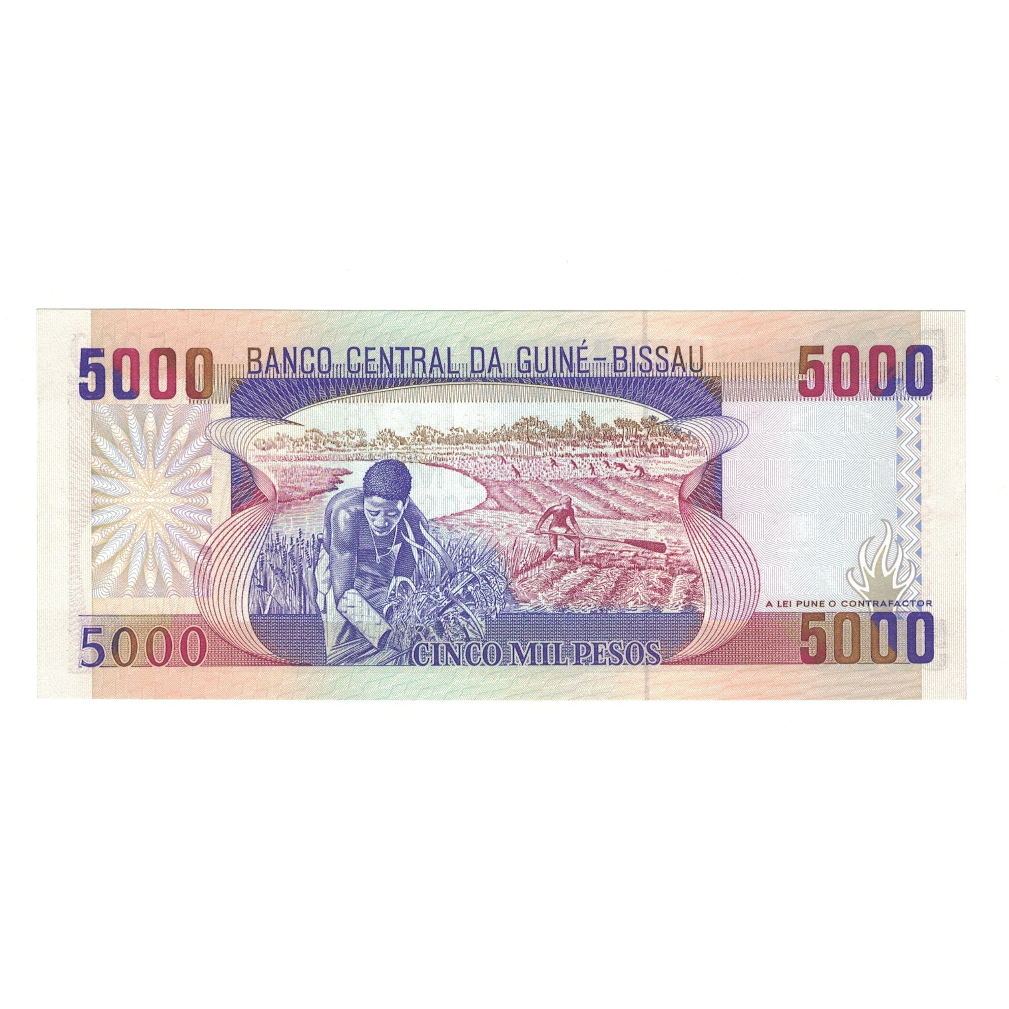Banknote, Guinea-Bissau, 5000 Pesos, 1993, 1993-03-01, KM:14b, UNC(65-70)