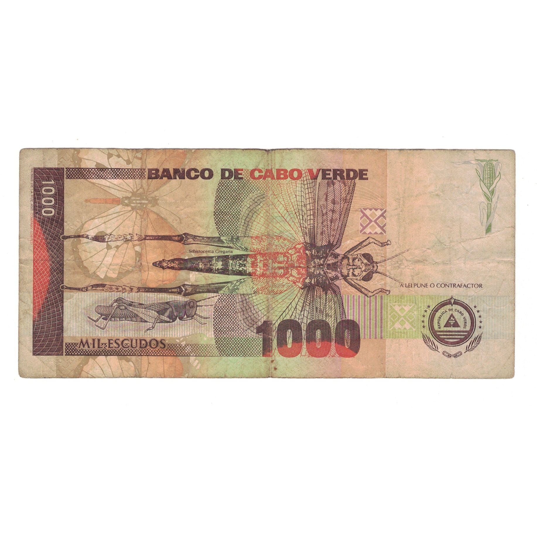 Banknote, Cape Verde, 1000 Escudos, 2002, 2002-07-01, KM:65b, VF(20-25)