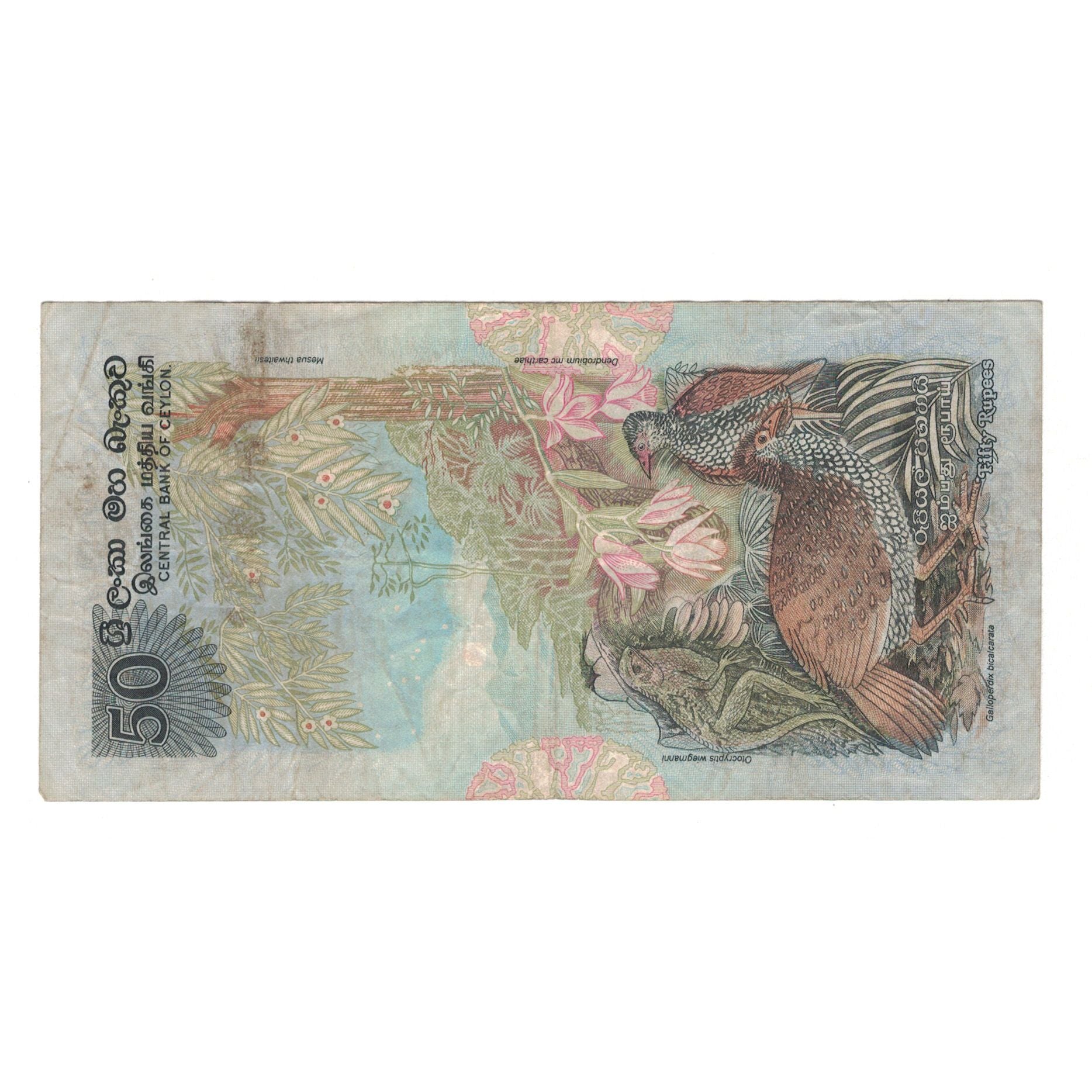 Banknote, Sri Lanka, 50 Rupees, 1979, 1979-03-26, KM:87a, VF(30-35)