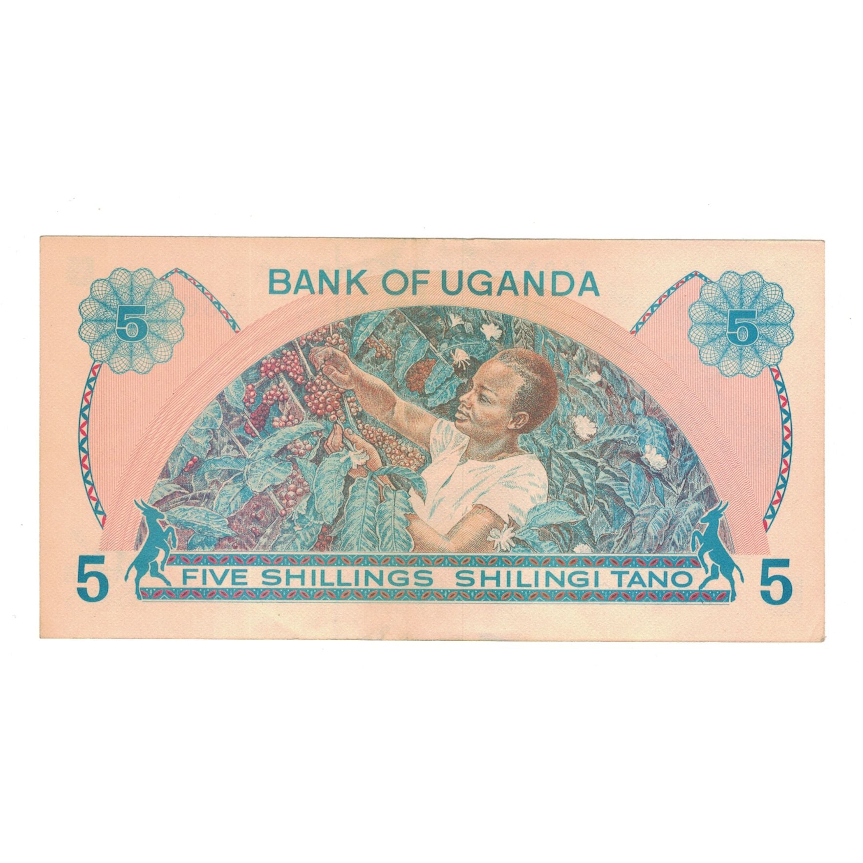 Banknote, Uganda, 5 Shillings, Undated (1977), KM:5a, AU(50-53)