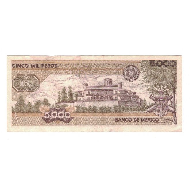 Banknote, Mexico, 5000 Pesos, 1989, 1989-03-28, KM:88c, EF(40-45)