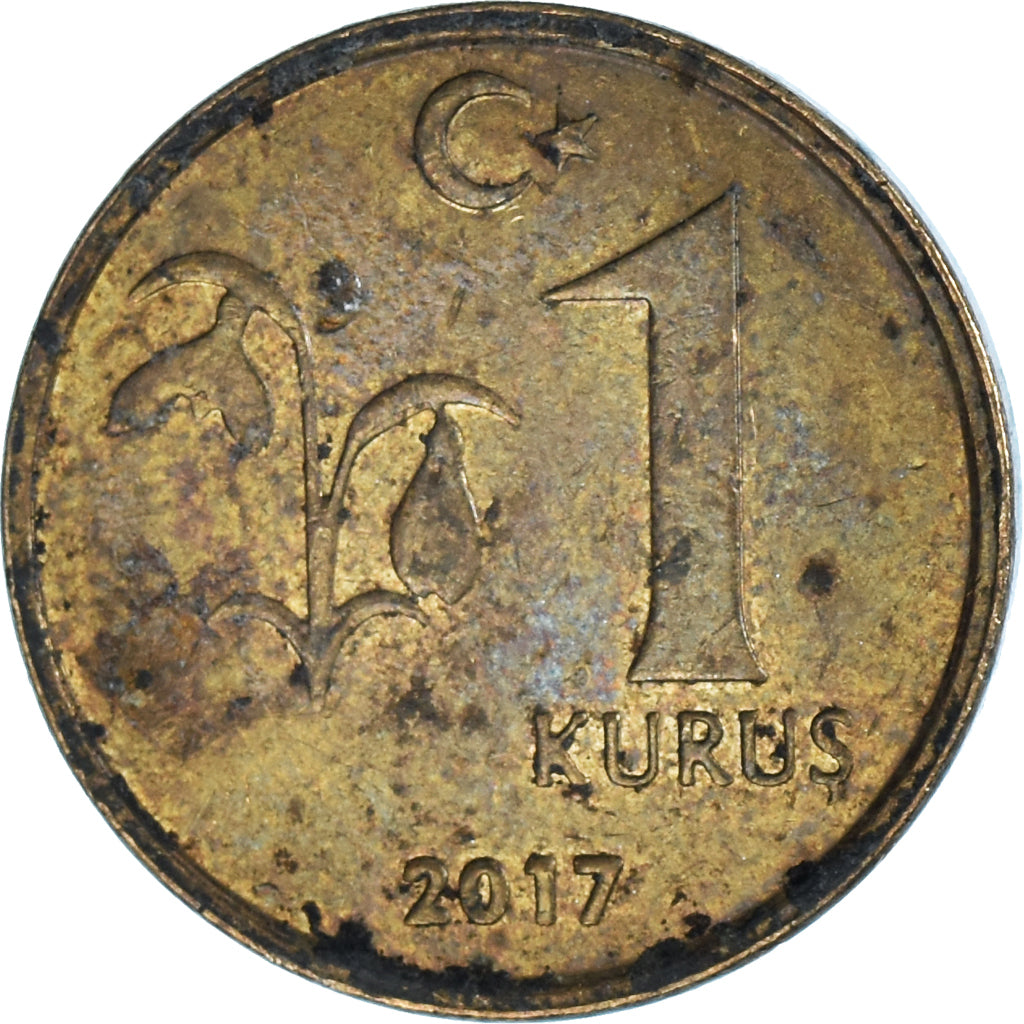 Moneta, Turchia, Kurush, 2017