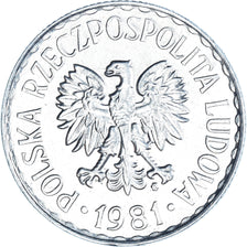 Coin, Poland, Zloty, 1981