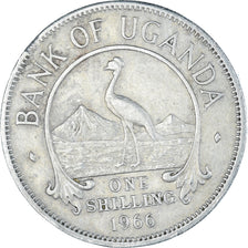 Coin, Uganda, Shilling, 1966