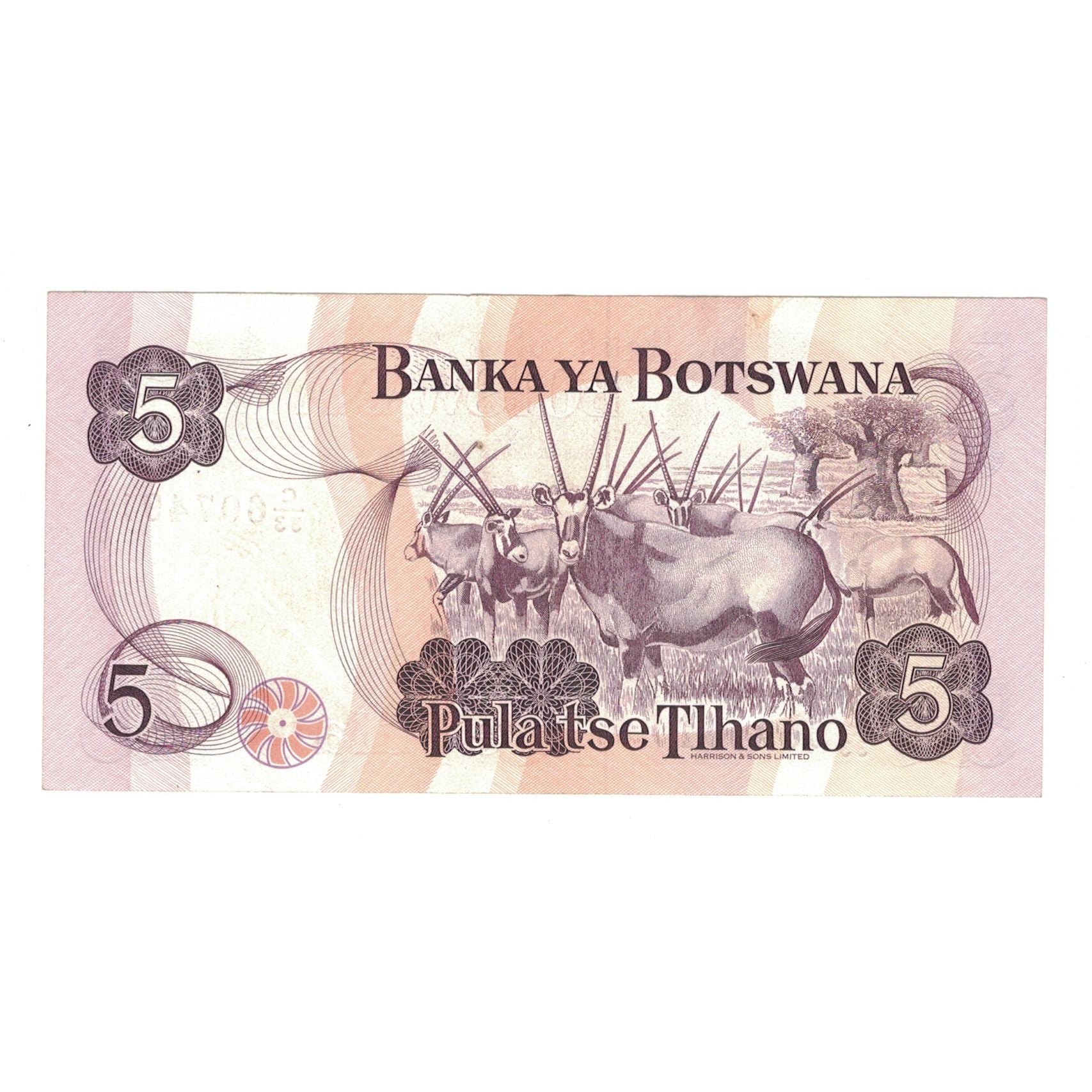 Billet, Botswana, 5 Pula, Undated (1982), KM:8b, TTB
