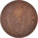 Münze, Ireland, Penny, 1993