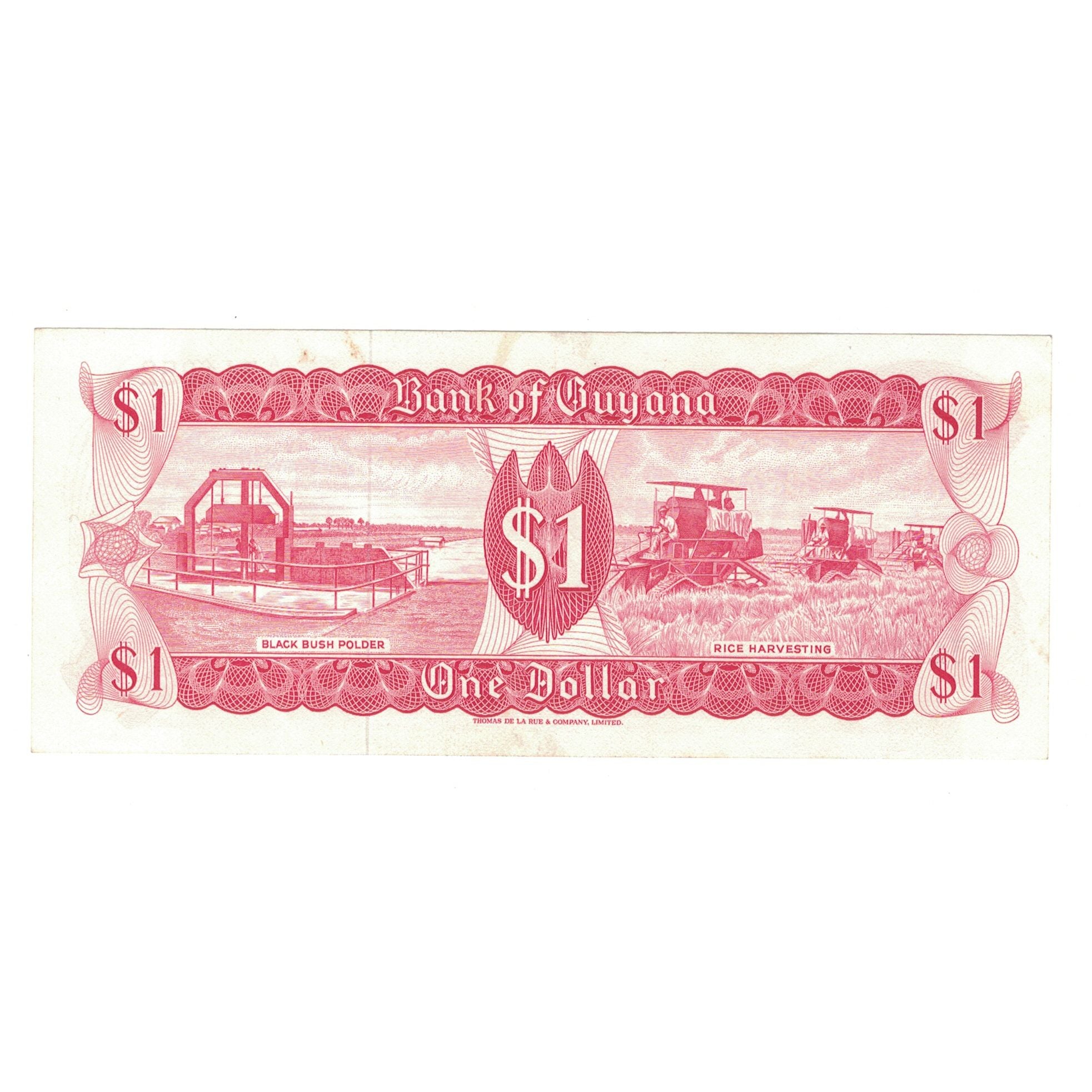 Banknote, Guyana, 1 Dollar, KM:21a, EF(40-45)