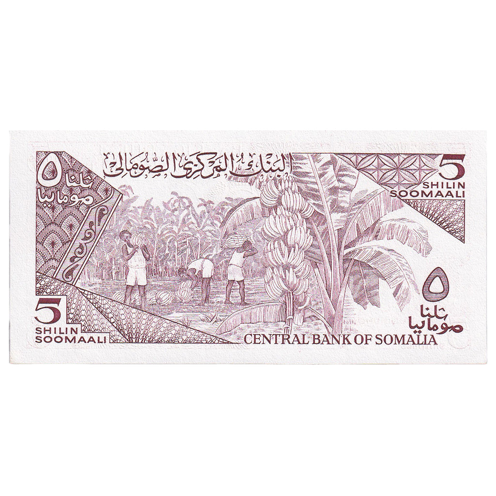 Somalia, 5 Shilin = 5 Shillings, 1987, KM:31c, UNC(65-70)