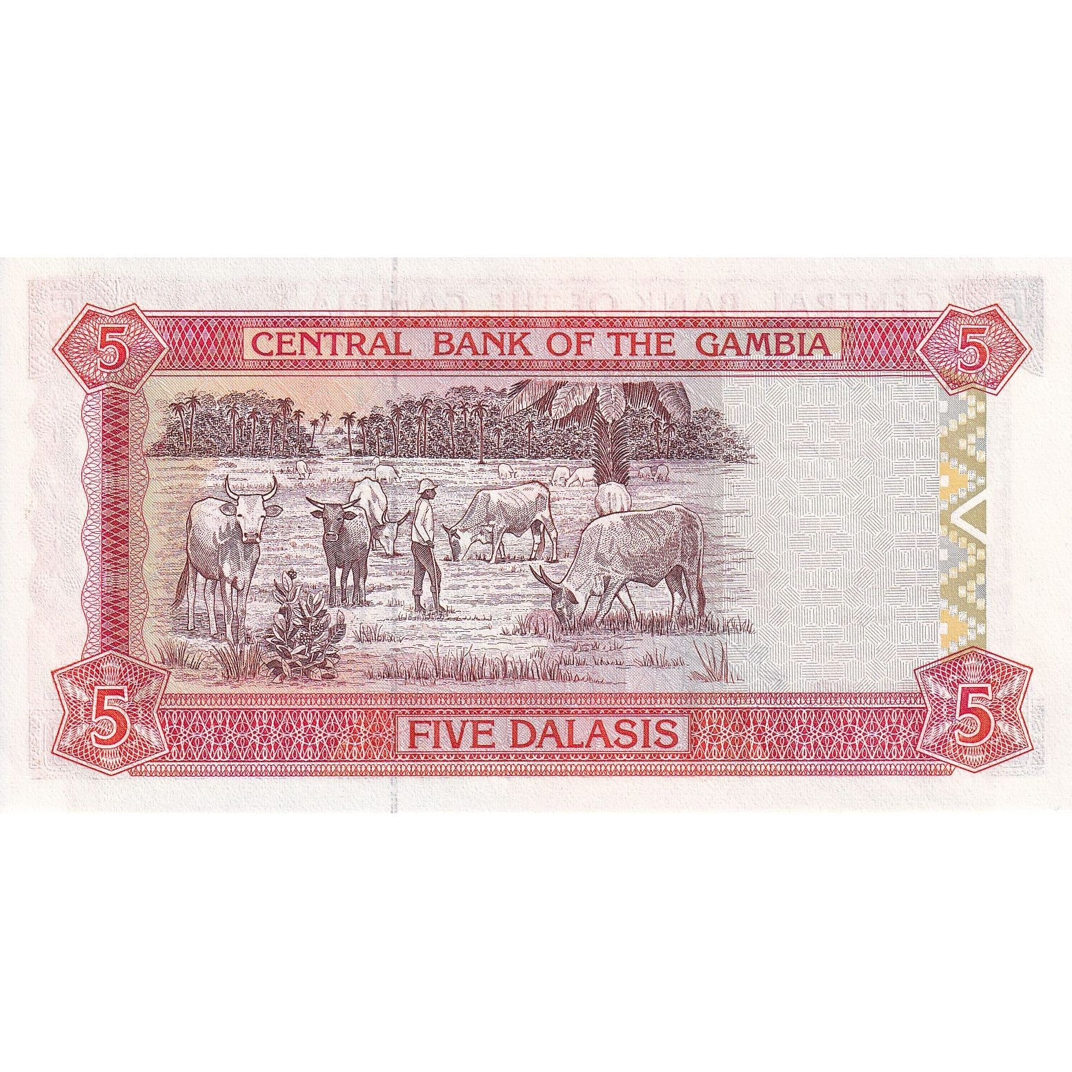 The Gambia, 5 Dalasis, Undated (2001), KM:20a, UNC(65-70)