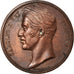 France, Medal, Charles X, History, Gayrard, AU(50-53), Copper