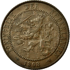 Coin, Netherlands, Wilhelmina I, 2-1/2 Cent, 1903, AU(55-58), Bronze, KM:134