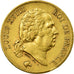 Munten, Frankrijk, Louis XVIII, Louis XVIII, 40 Francs, 1824, Paris, ZF, Goud